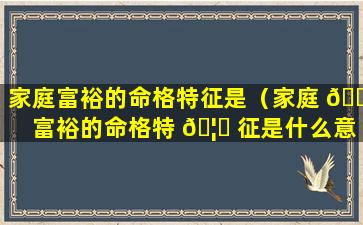 家庭富裕的命格特征是（家庭 🐱 富裕的命格特 🦍 征是什么意思）